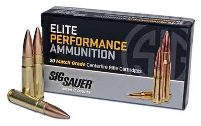 SIG 300 AAC 125GR OTM 20RD - 25BX/CS