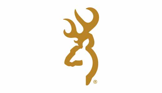 BROWNING 1911-22 BLK LBL 22LR 3.7"    #