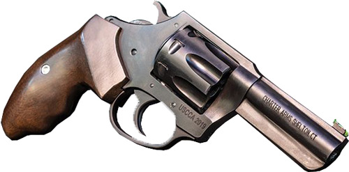 CHARTER ARMS THE PROFESSIONAL - 32 H&R MAG 3" BLACK/WALNUT