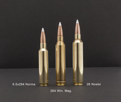NOSLER TROPHY GRADE LR 26 - NOSLER 142GR ABLR 20RD 10BX/CS
