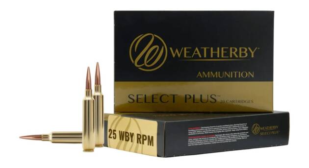 WEATHERBY 25WBY RPM 117GR BARNES LRX
