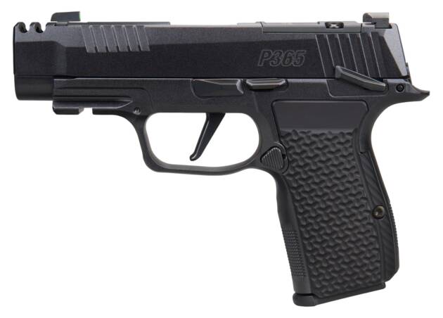 SIG SAUER P365 AXG LUXE 380ACP MS CA